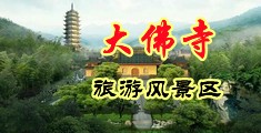 骚逼操死你网站污中国浙江-新昌大佛寺旅游风景区